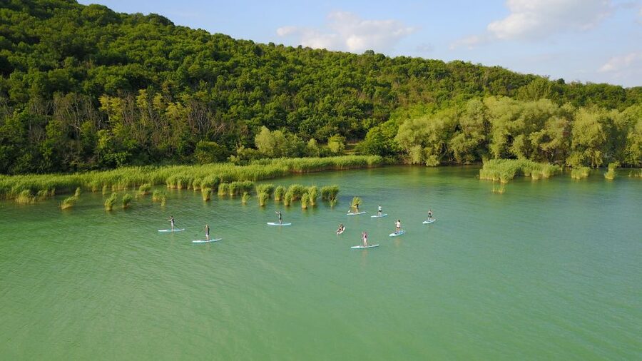 Lake Balaton: Paddle Board Tour of Tihany National Park - The paddle route: slow glides, reeds, wildlife, and a realistic 3 km