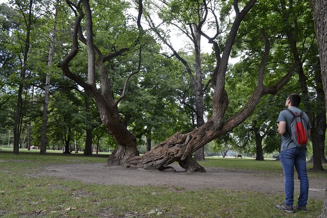 Margaret Island Mystery: Self-Guided Puzzle Quest in Budapest - Japanese Garden: designed for slow looking, even during a game