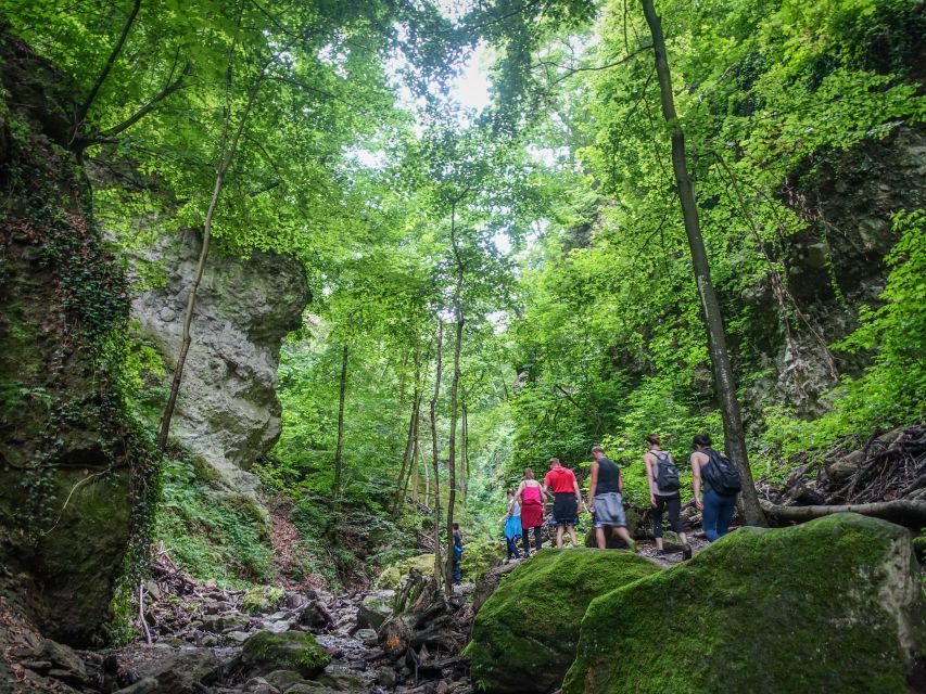One Day Wonder Hike - The Essence of the Danube Bend - Ram gorge waterfall climbing: 30-meter rock formations, ladders, and rails