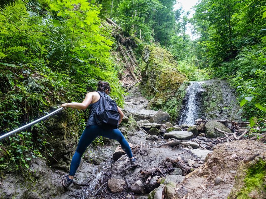 One Day Wonder Hike - The Essence of the Danube Bend - Should you book the One Day Wonder Hike to the Danube Bend?