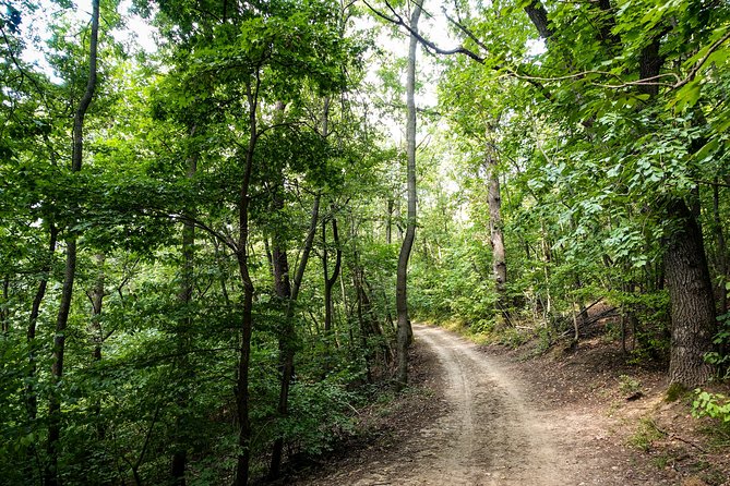Panoramic hike around Budapest - Fairy rock and Hárs-Hegy: the scenic extras you can’t really replicate alone