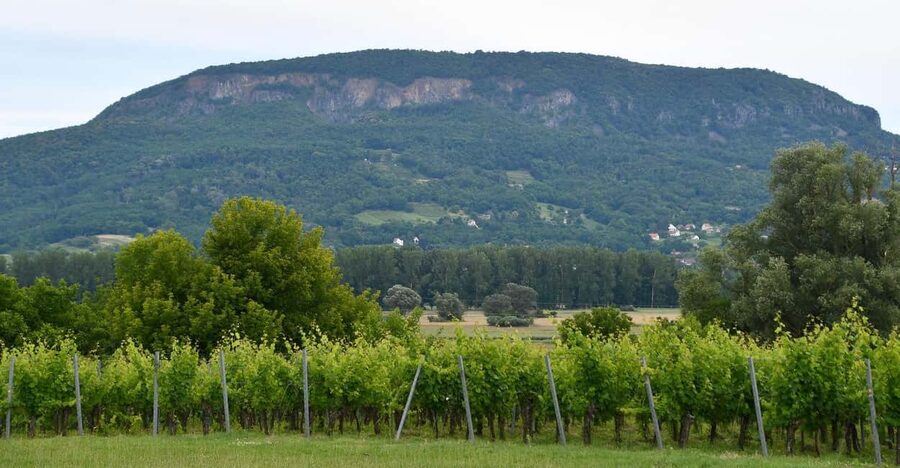 Private Badacsony Volcano Hike & Lake Balaton Views - Terrain, gear, and weather: what to prepare for