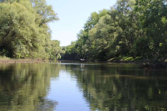 Private Bicycle-Canoe Tour Budapest - Danube Bend - Price and value: what $260.28 buys you, and why it feels fair