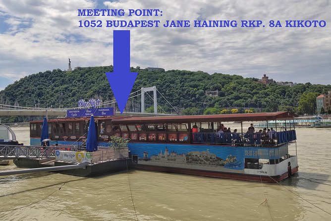 Private Danube Sightseeing Cruise in Budapest - Bridges and cultural landmarks: National Theatre and Palace of Arts views