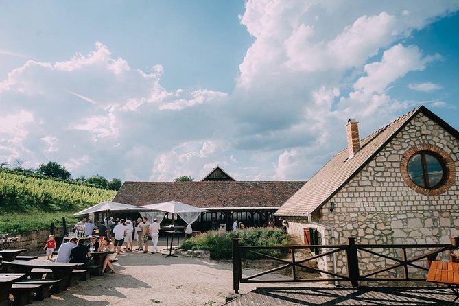 Private Etyek Wine tour with dinner including a Budapest Danube Evening Cruise - Price and value: what you are paying for at $336 per person