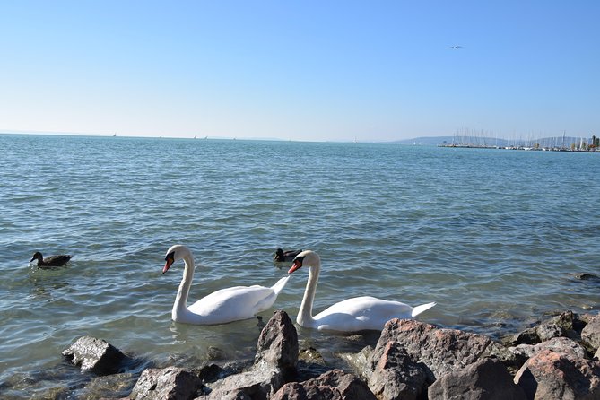 Private Lake Balaton Experience with an unforgettable Wine Tasting - Ferry to Tihany, and why that crossing feels like part of the trip