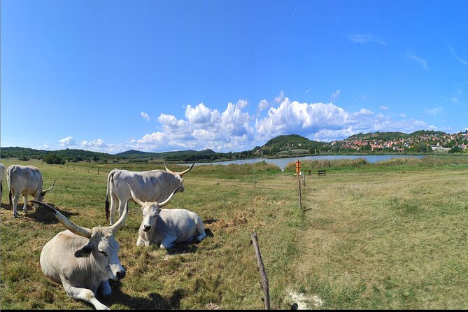 Private tour from Budapest to a top hidden treasure region of Europe: Lake Balaton - Balatonakarattya and Lake Balaton: First Views, Then Real Water Time