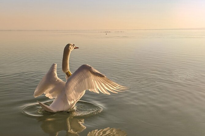 Private tour from Budapest to a top hidden treasure region of Europe: Lake Balaton - Food, Wine Tasting, and Practical Tips You’ll Appreciate