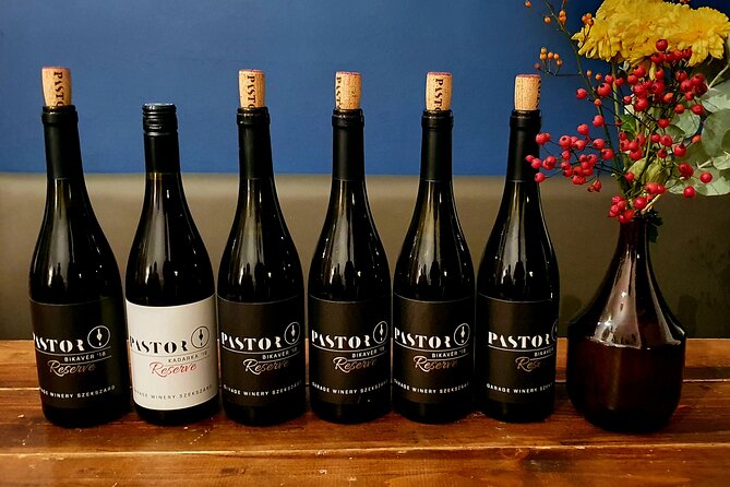 Private Wine Tasting in Budapest - Budapest setting: Wine the Gap Borbár and how to plan your timing