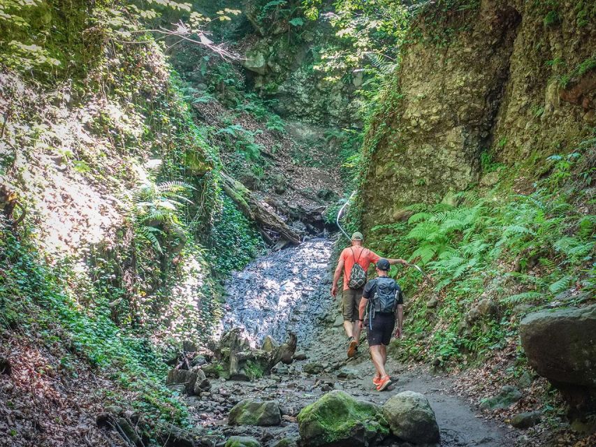 Ram Gorge Hiking Adventure - Wildlife and birds, more than just pretty scenery