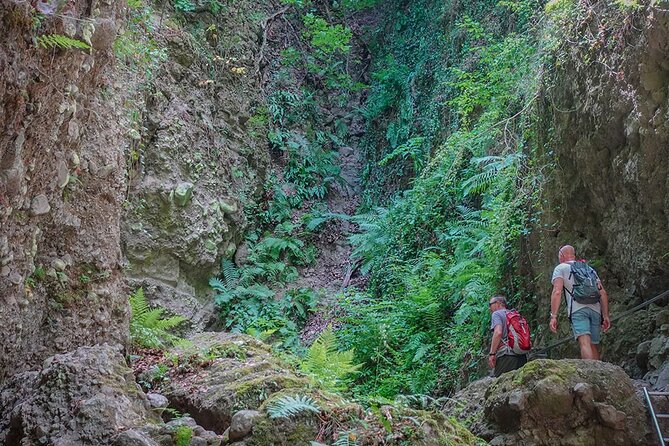 Ram Gorge Hiking Adventure Natures Playground Near Budapest - Entering Ram Gorge: forests, water crossings, and waterfall ladders
