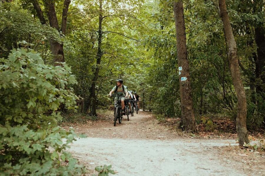 Semi-Private Off-Road eBike Tour in The Buda Hills - Key things I’d circle in your planning