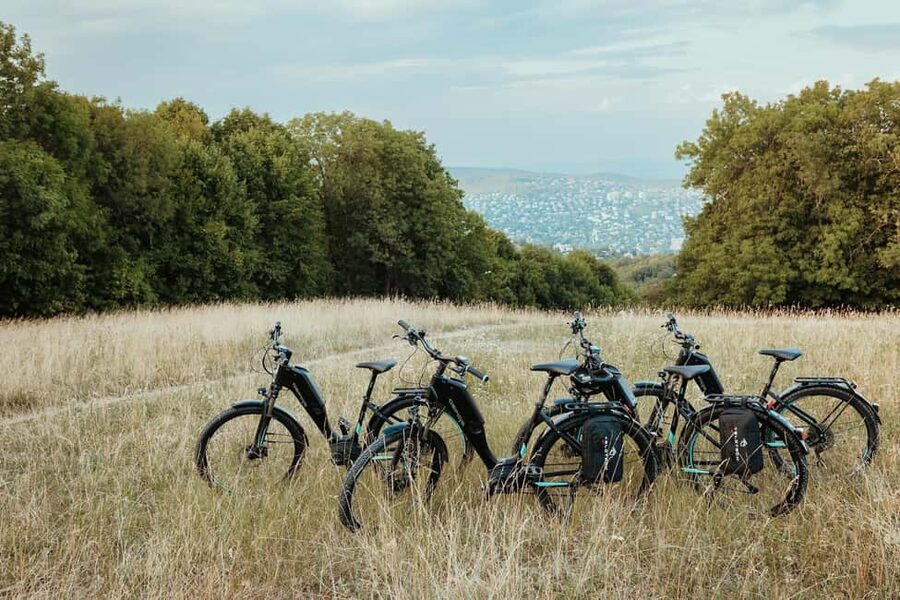 Semi-Private Off-Road eBike Tour in The Buda Hills - The bikes: Bosch powered help with room for your own effort