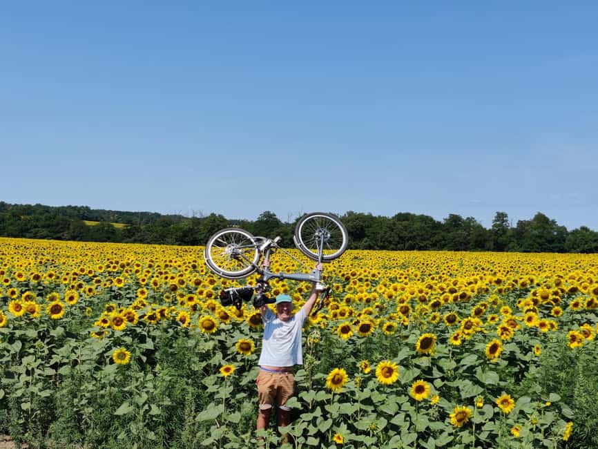 Szentendre by Bike: Self Guided Bike Rental Package! - Danube Bend approach to Szentendre: the part where the scenery does most of the work