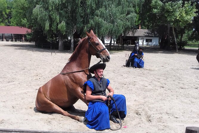 The "Puszta" Horse Show - Key things to know before you go