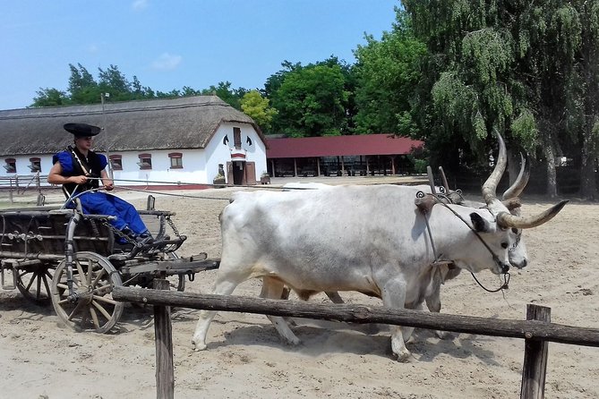 The "Puszta" Horse Show - Stop 2: Lajosmizse stables, horse show action, and domestic animals