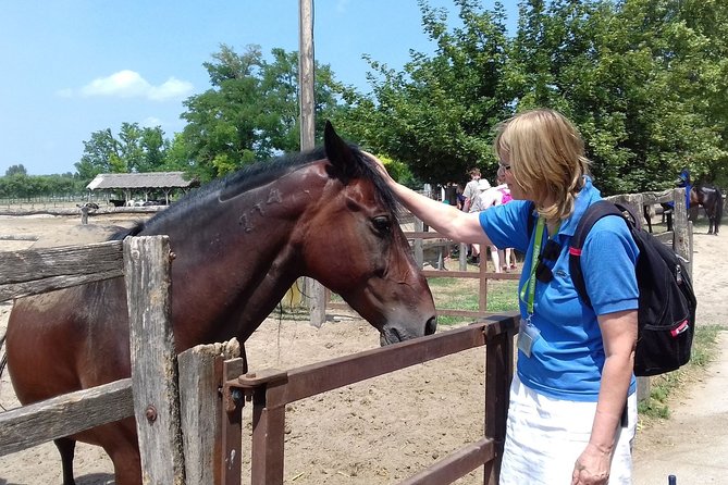 The "Puszta" Horse Show - Optional horseback ride: how to decide if it’s for you