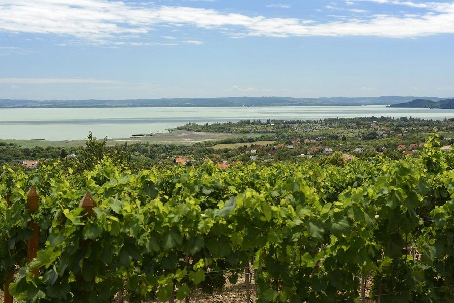 The Turquoise Sea of Hungary: Lake Balaton Private Tour - Key moments worth marking on your day