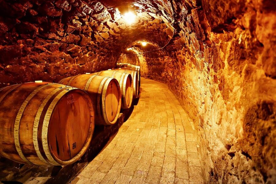 Tokaj: Classic Wine Tasting - Key highlights to look for