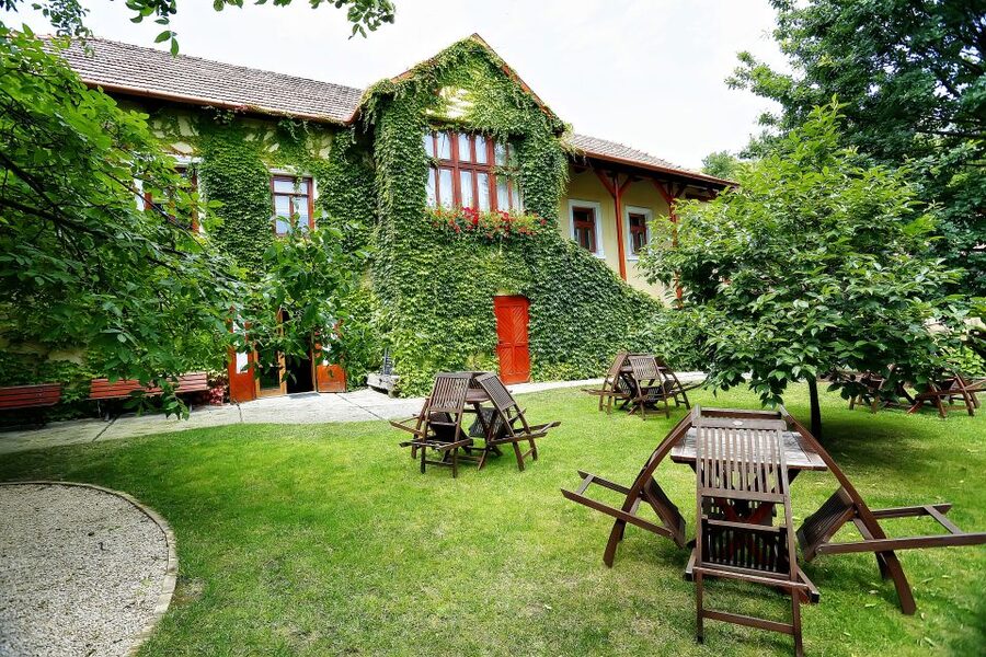 Tokaj: Classic Wine Tasting - From arrival to cellar and tastings: the flow that keeps it fun