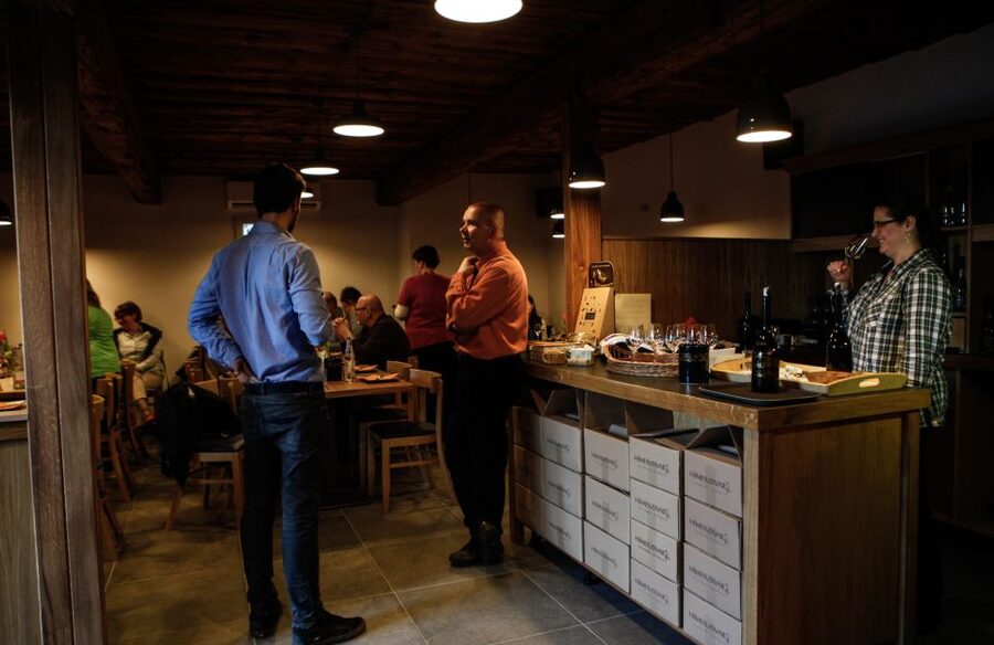 Tokaj: Vineyard Tour & Tasting - Why Tokaj feels special before the first sip