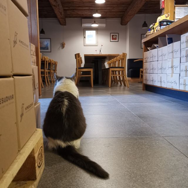 Tokaj: Vineyard Tour & Tasting - Tasting 7 Tokaj wines, including Tokaj Eszencia