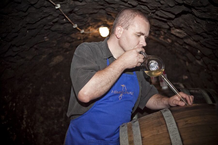 Tokaj: Vineyard Tour & Tasting - Getting to Hímesudvar: pickup, timing, and what to bring