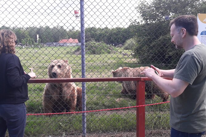 Visiting a Bear and Wolf Sanctuary - Half-Day Reality Check: 4 Hours Total From Budapest