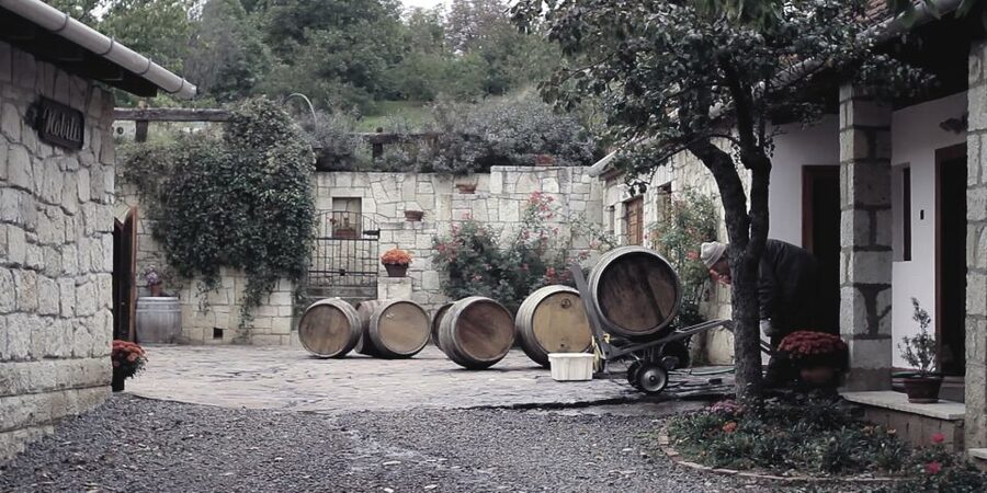 Wine taste in Tokaj Private Day Tour from Budapest - Walking Tokaj’s oldest street: how the wine trade shaped the town