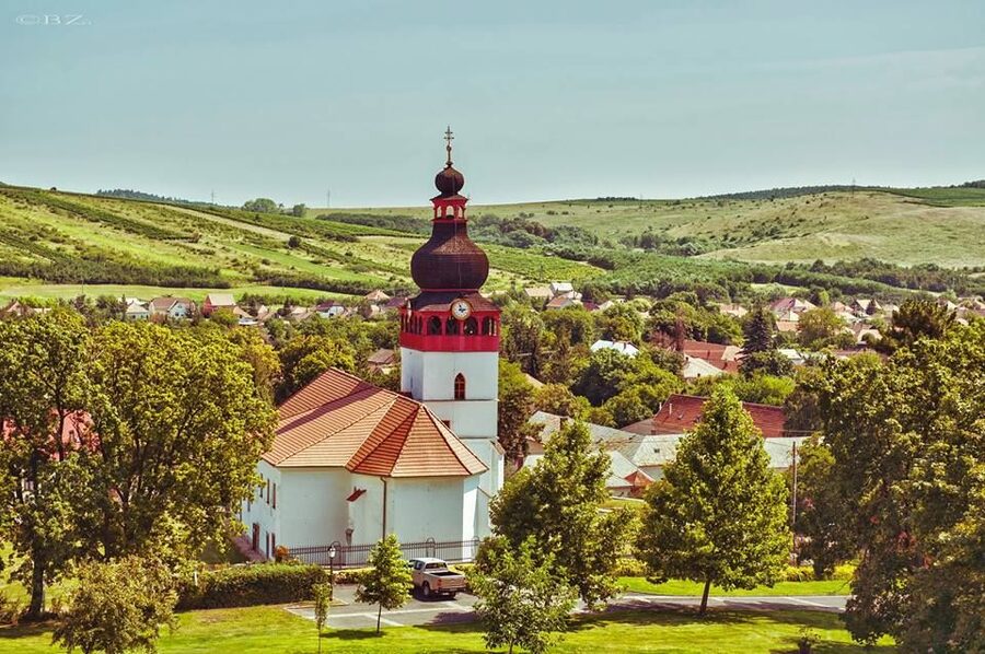 Wine taste in Tokaj Private Day Tour from Budapest - Your 4-wine tasting with snacks: how to enjoy it like a pro