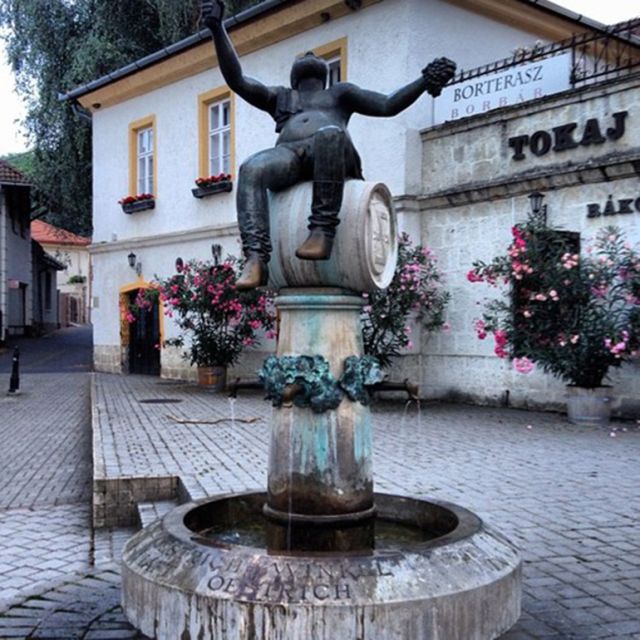 Wine taste in Tokaj Private Day Tour from Budapest - Price and value: what $530 per person covers in a private day