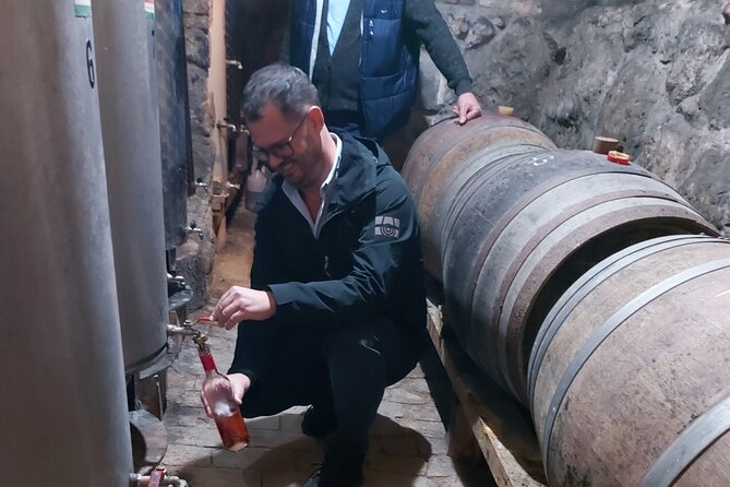 Wine Tasting in the Countryside from Budapest - Key highlights worth caring about