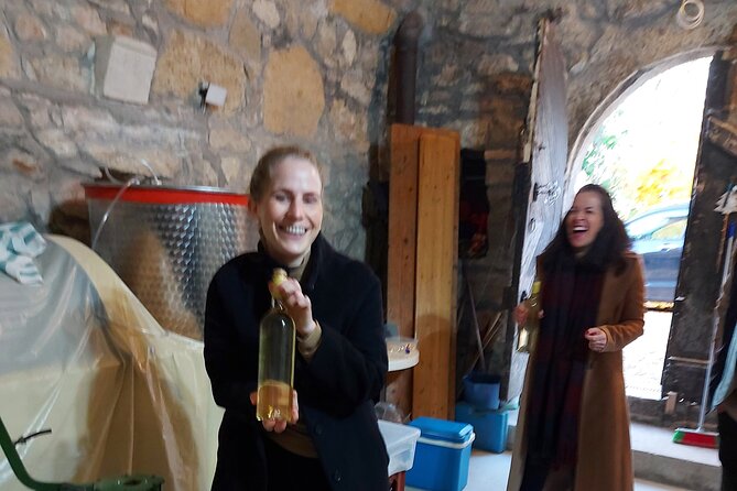 Wine Tasting in the Countryside from Budapest - Timing, comfort, and smart day-planning in the cellar world