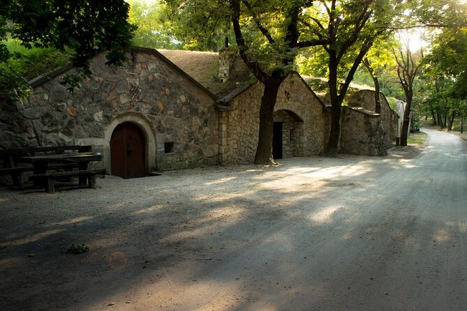 Wine Tasting in the Countryside from Budapest - Entering the cellar village, what to look for on arrival