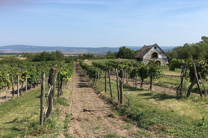 Wine Tour of Etyek from Budapest, taste even 7 kinds of wines! - Stop 2 at EtyekM. Winery: short visit, big mood from old cellars
