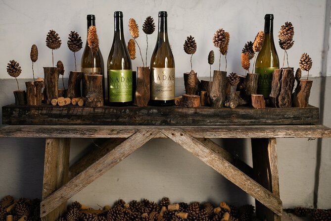 Wine Tour of Etyek from Budapest, taste even 7 kinds of wines! - The Hungarian meal: why food belongs on a wine tour