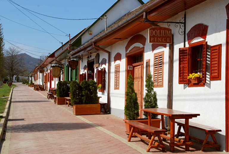 Winetaste in Villany, sightseeing in Pécs, private tour - Getting a grip on the schedule in a 12-hour private day